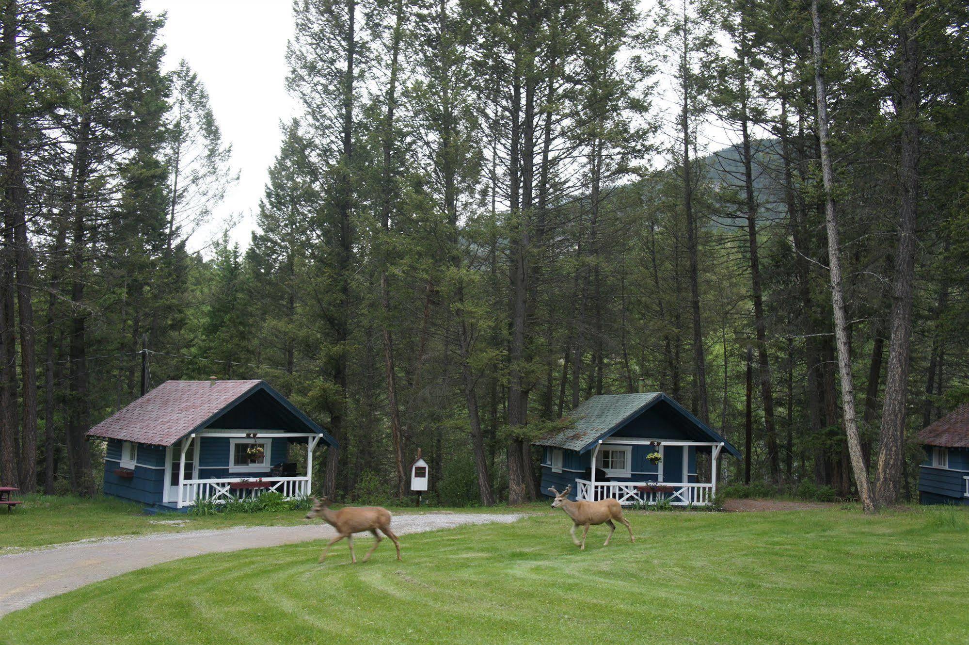Fairmont Mountain Bungalows Фермонт-Гот-Спрінгс Екстер'єр фото
